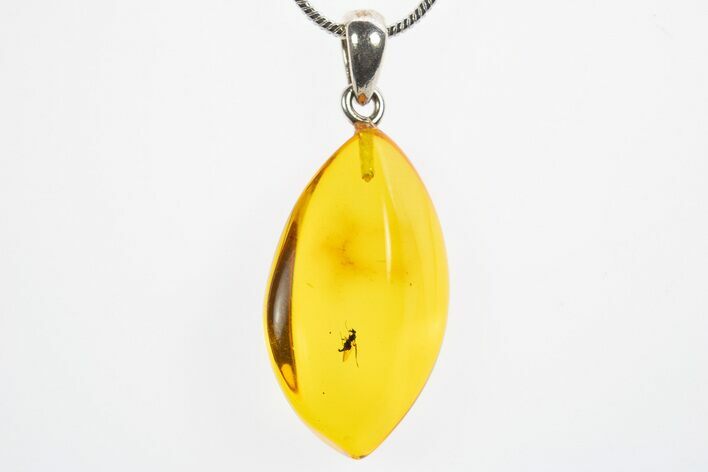 Polished Baltic Amber Pendant (Necklace) - Contains Fly! #307912